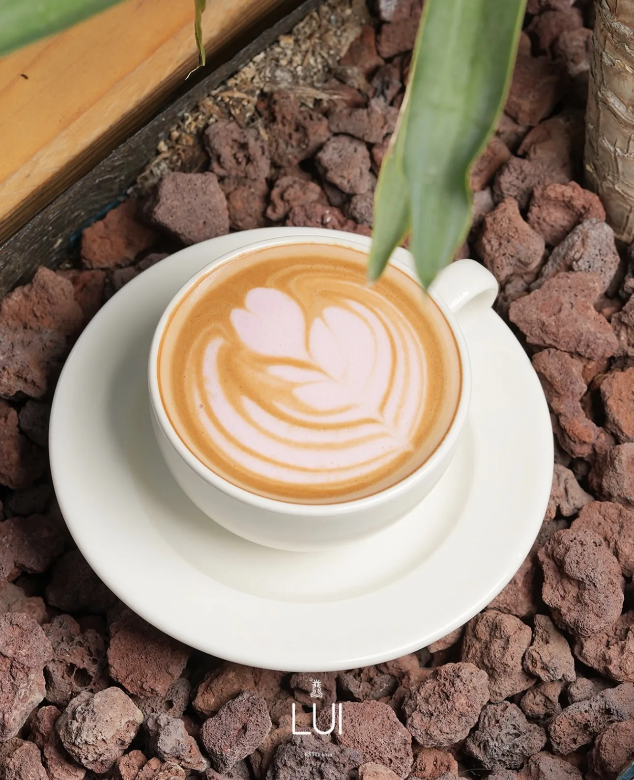 Strawberry White Mocha